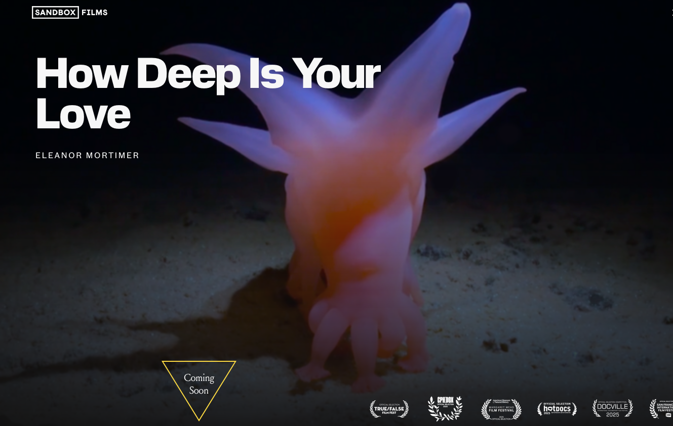 How Deep Is Your Love